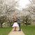 Emilie Sheridan's profile image