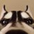 Andrea Cappen Myers's profile image