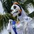Dave Doig's profile image