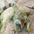 Leslie Ann Leuer's profile image