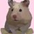 Vandy Ma's profile image