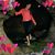 Chaise Jenvey's profile image