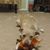 Ashley Miskin's profile image