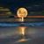 Pamela Christianson Springer's profile image