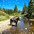 Judy Coover's profile image