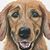 Carol Christopher Stoecker's profile image