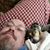 Brent Edwards's profile image