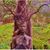 Linda O'Callaghan's profile image