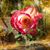 Sharon Zehms's profile image