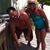 Jodi Myers's profile image