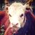 Bevy Leibenguth's profile image