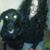 Kelley Mahoney-Rose's profile image