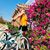 Cathy Desoto's profile image