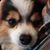 Nancy Loscavio Carver's profile image