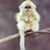 Kate Cluichi's profile image
