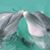 Kathie Kaus's profile image