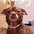 Shawna Norton's profile image