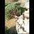 Mateo Duque's profile image
