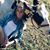 Skylar Mitchell's profile image