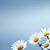 Marslin Naughton-Anderson's profile image