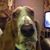 Carol Butler's profile image