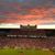 Connie Mashburn's profile image