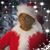 Sandra Holt Perciful's profile image