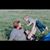 Bethany Renee Wilson's profile image
