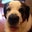 Chrissie D's profile image