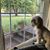 Betty Williams's profile image