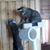 Josie Berard's profile image