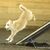 Shannon Jackson's profile image