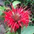 Paula Gabriel Futrell's profile image