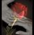 Maria Carmen Lopez-Parra's profile image