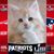 Terri Raski's profile image