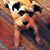 Victoria Gipson's profile image