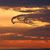 Carol Lynn Cuddy's profile image