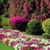 Dariush Aboonasry's profile image