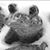 Susan Avera Watson's profile image