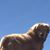Michael Cooper's profile image