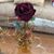 Melanese Wynn's profile image