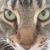 Phyllis Fuchs's profile image