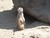 sandra p.'s profile image