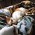 Tara Stogner Wood's profile image