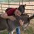 Brenda Elizondo's profile image