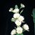 Nancy Bomar's profile image