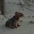 CC Payne's profile image
