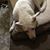 Catarina Leanne Triacca's profile image