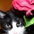 Tina Forsythe's profile image