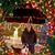 Kim Haverkamp James's profile image